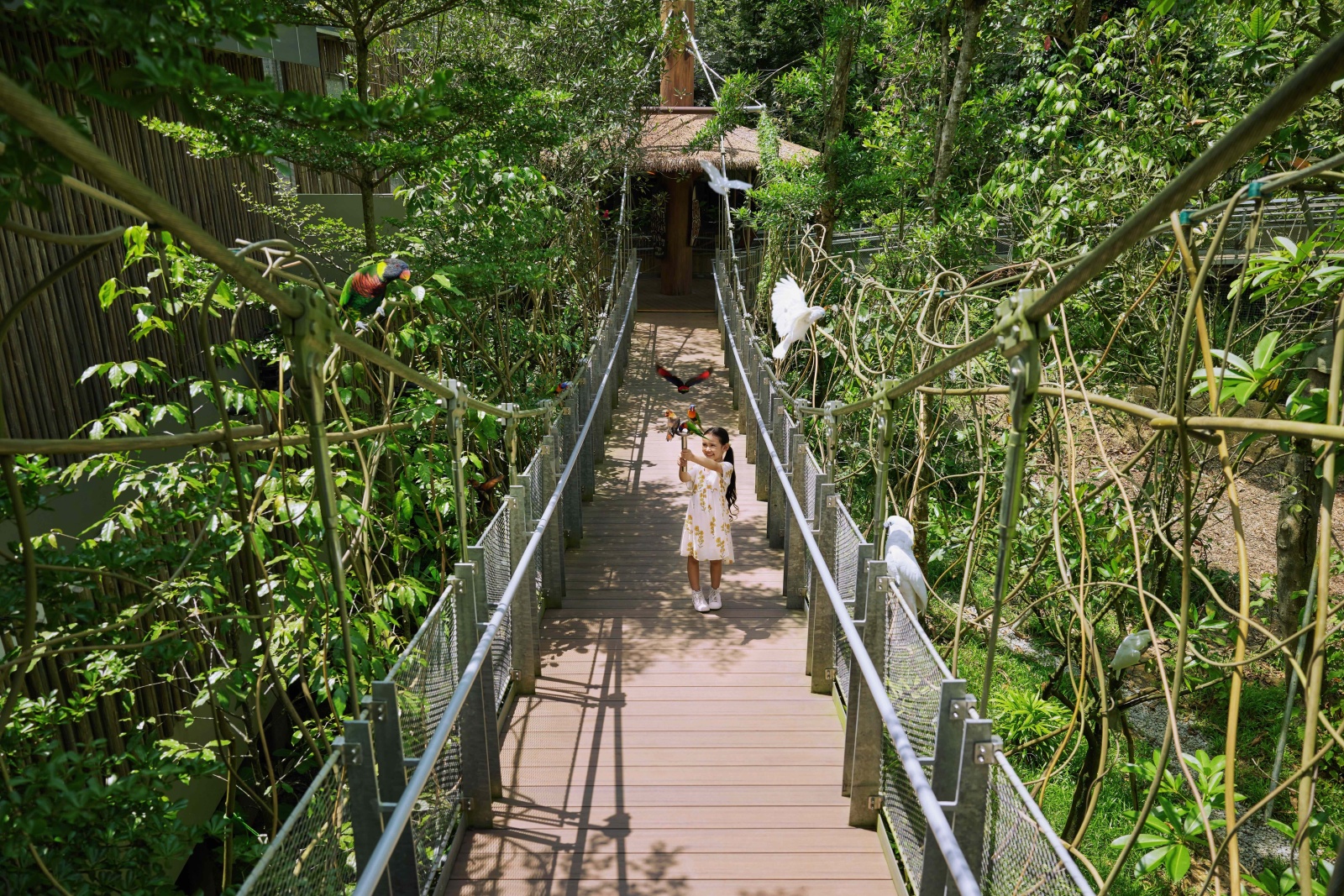 22.08.2025 - BIRD PARADISE wins Presidential Design Award 2025 for Design of the Year