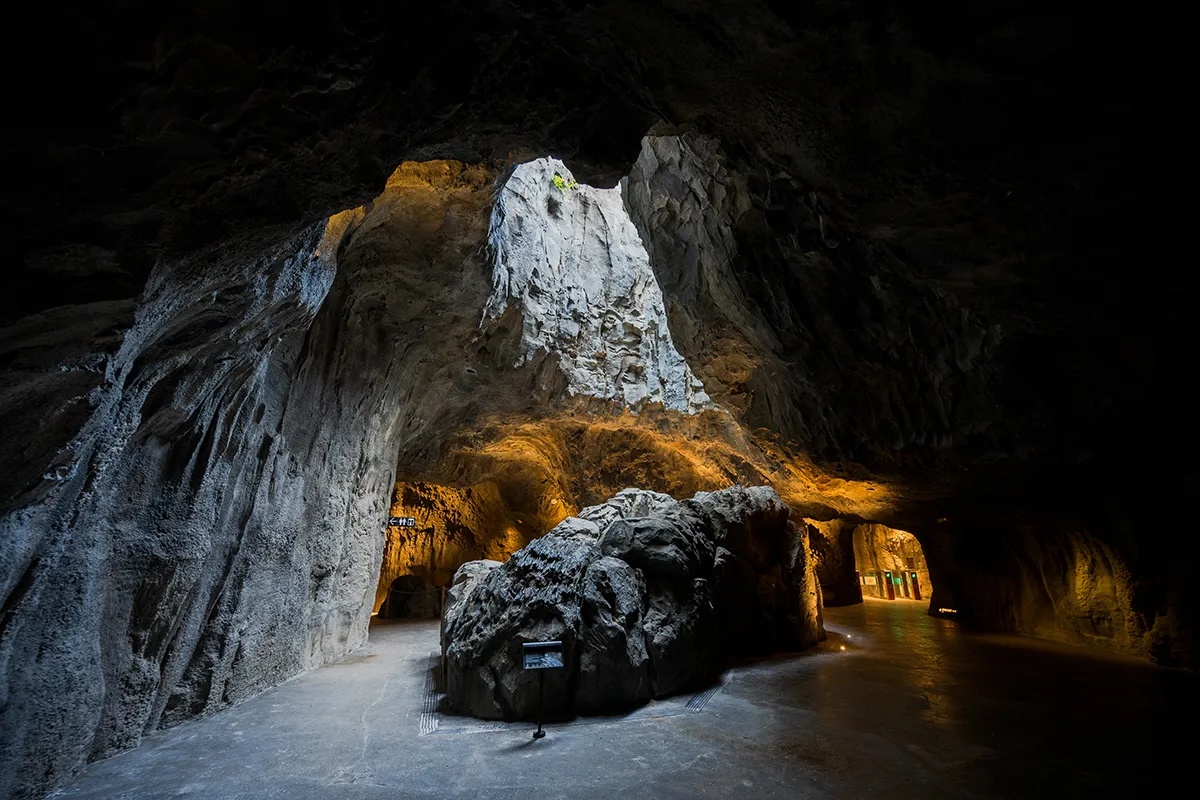 30.03.2025 - RAINFOREST WILD ADVENTURES OPENS TO PUBLIC